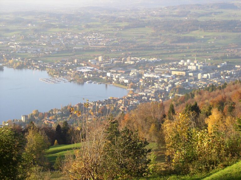 Fahrschulen in Zug